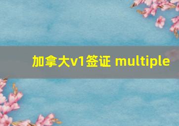 加拿大v1签证 multiple